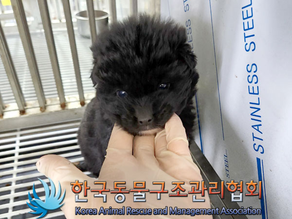 종료(자연사) 믹스…